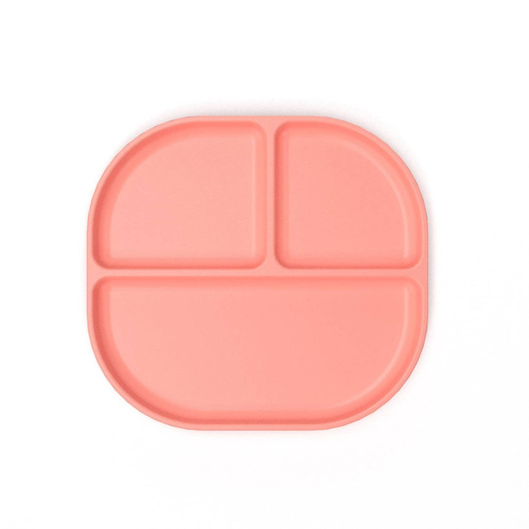 Divided Plate with Rim