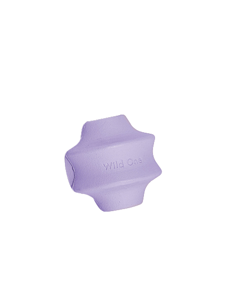 Twist Toss Toy