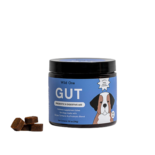 Gut Support Probiotic & Digestive Aid Soft Chew Supplement