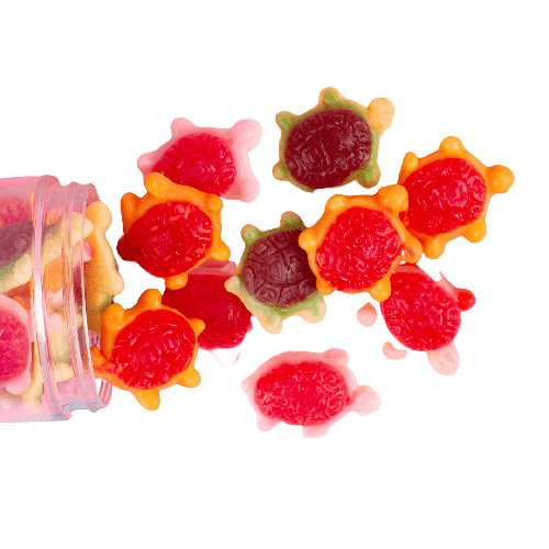 Jellyshell Sea Turtles