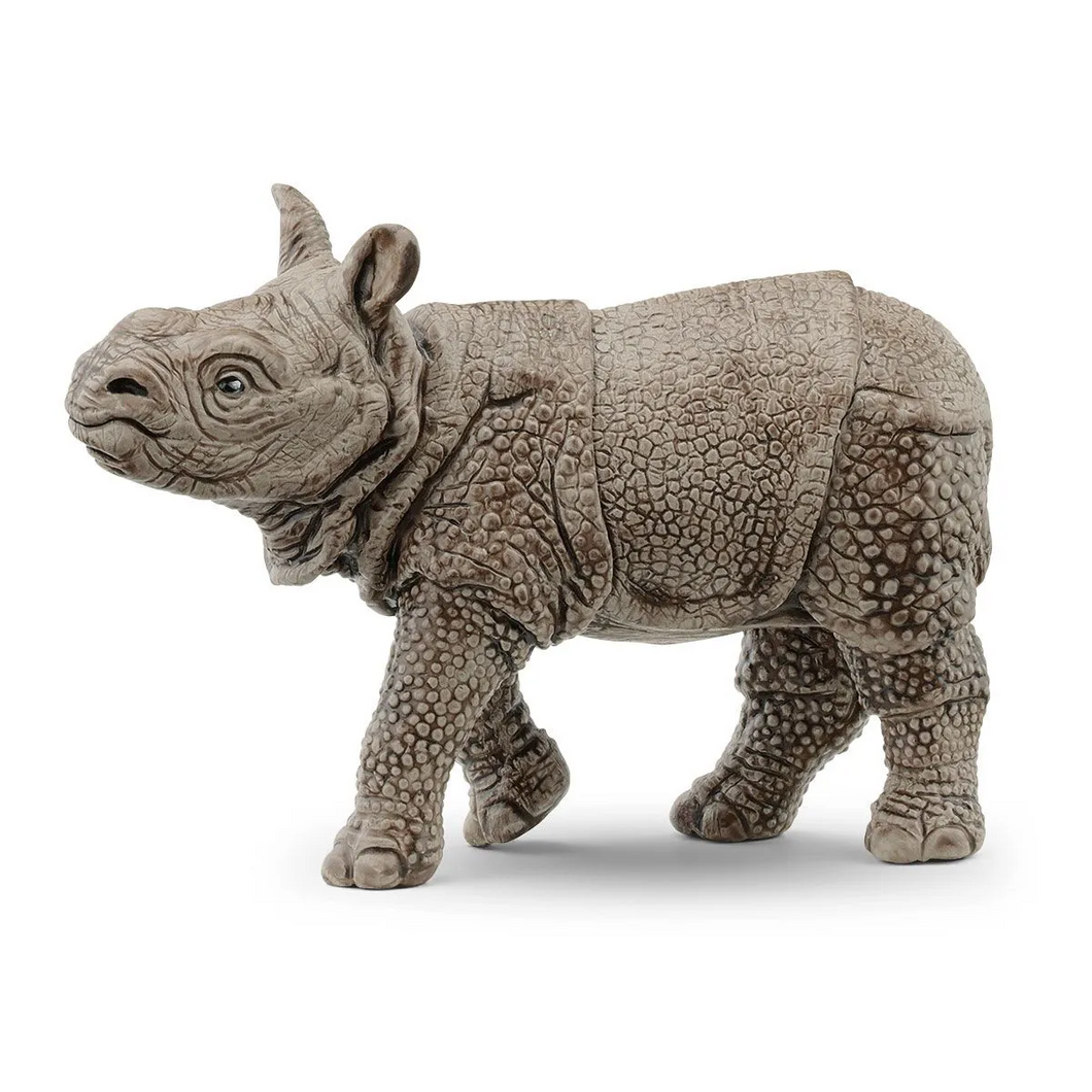 Indian Rhinoceros - Baby