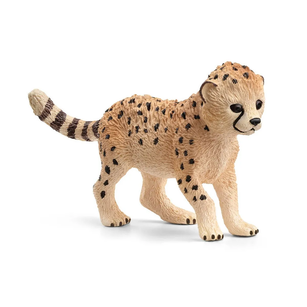 Cheetah - Baby