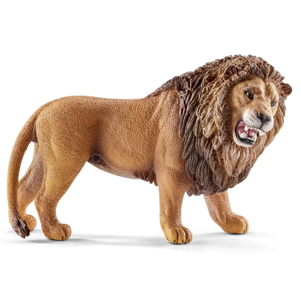 Lion - Roaring