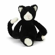 Bashful Black Kitten