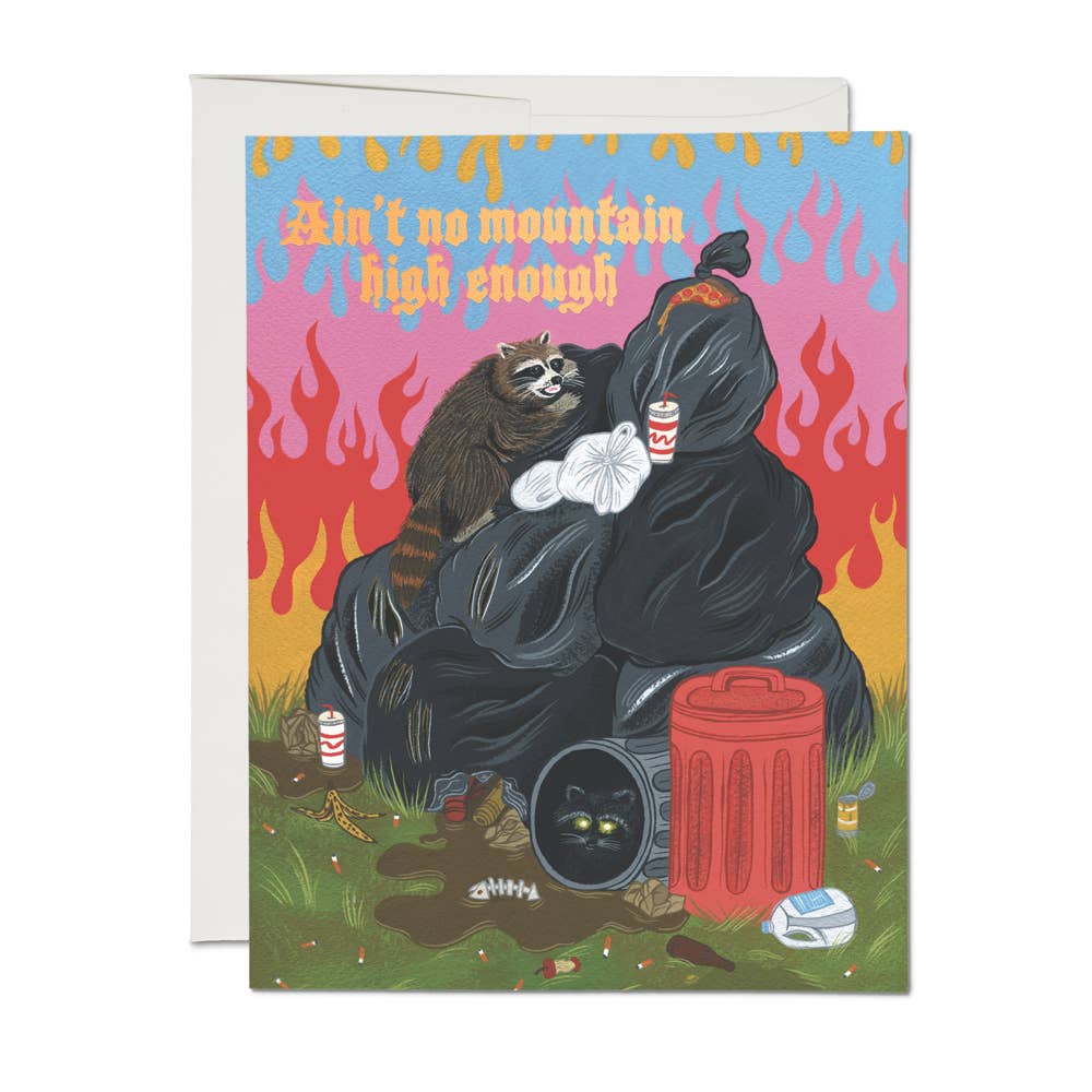Raccoon Fun Congratulations Greeting Card