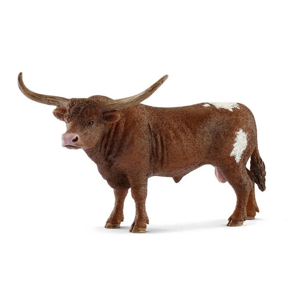 Texas Longhorn - Bull