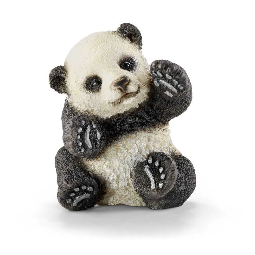 Panda Cub - Playing