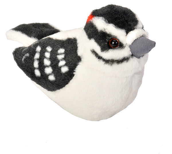 Audubon II Downy Woodpecker