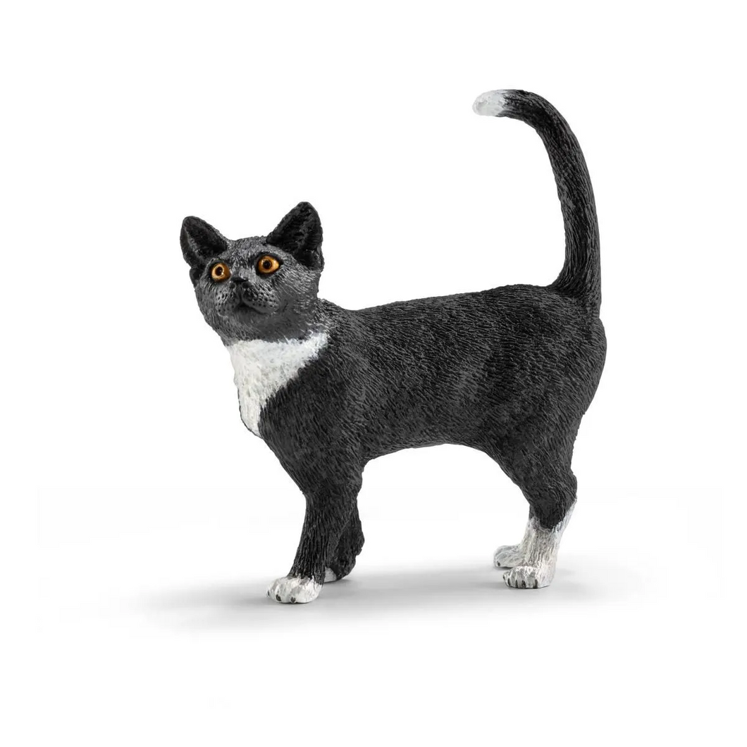 Cat - Standing