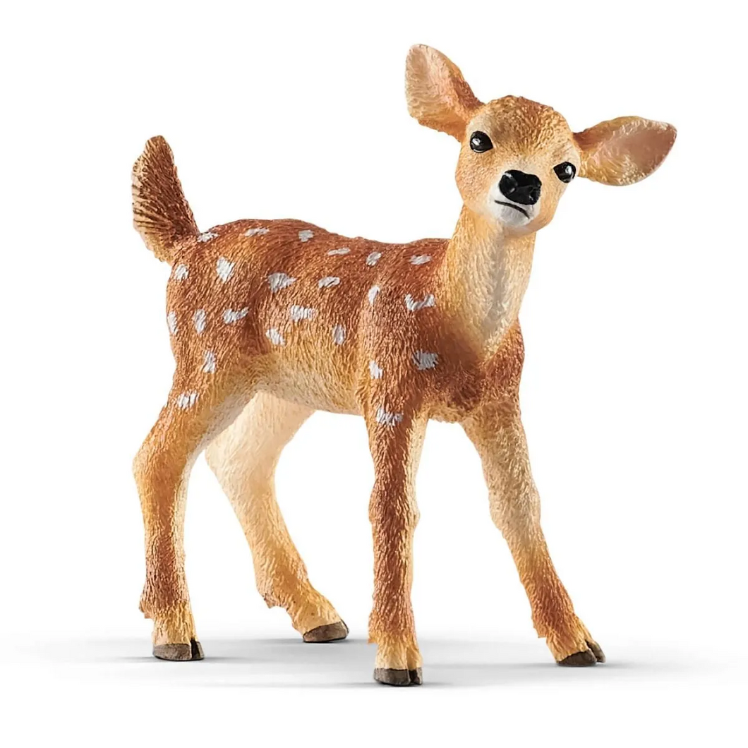 White-Tailed - Fawn