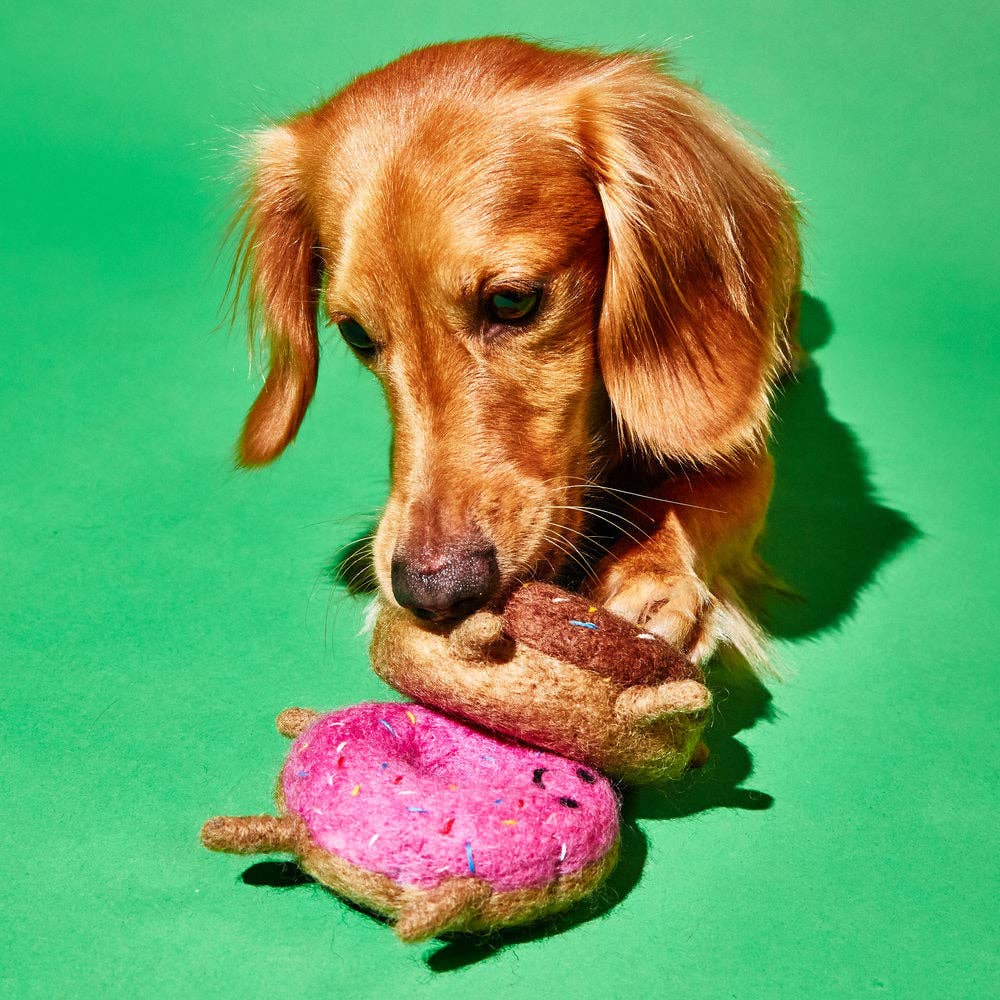 Wool Strawberry Donut