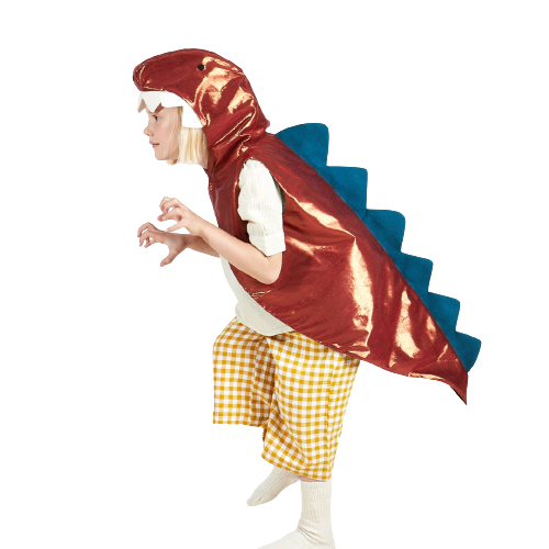 Dinosaur Costume