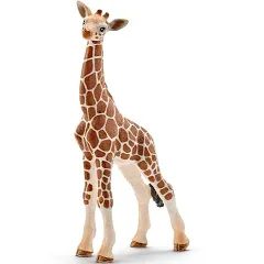 Giraffe - Calf