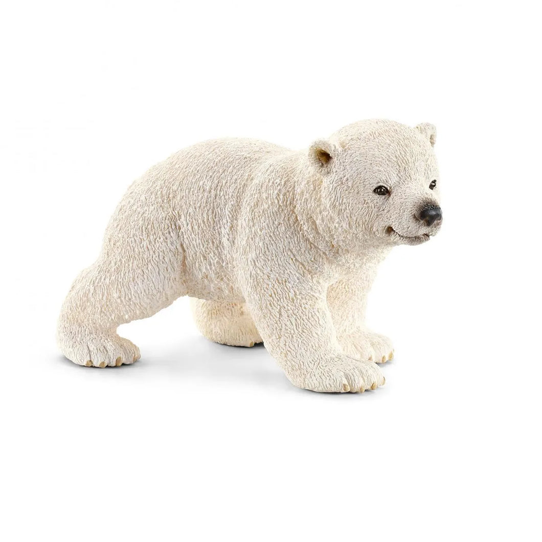 Polar Bear - Cub
