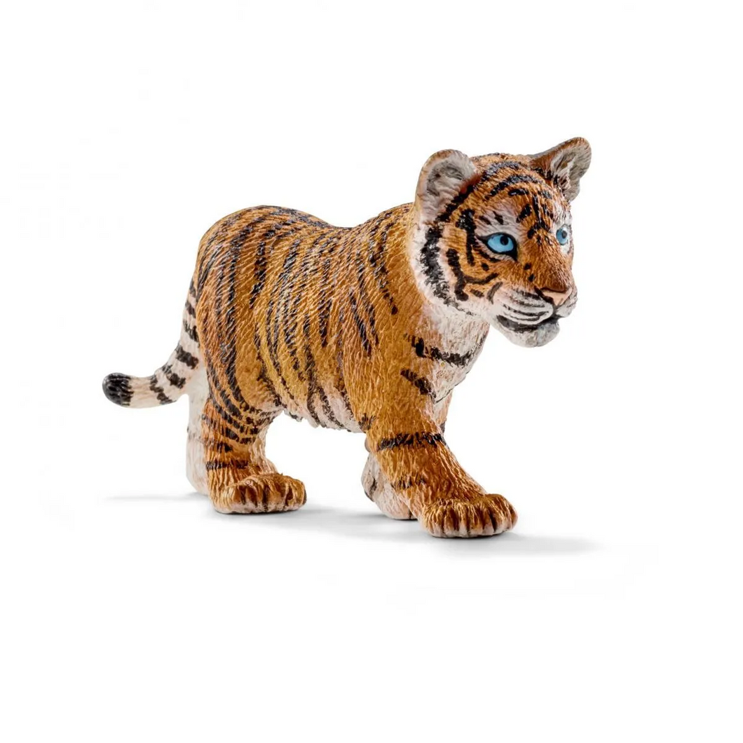 Tiger - Cub