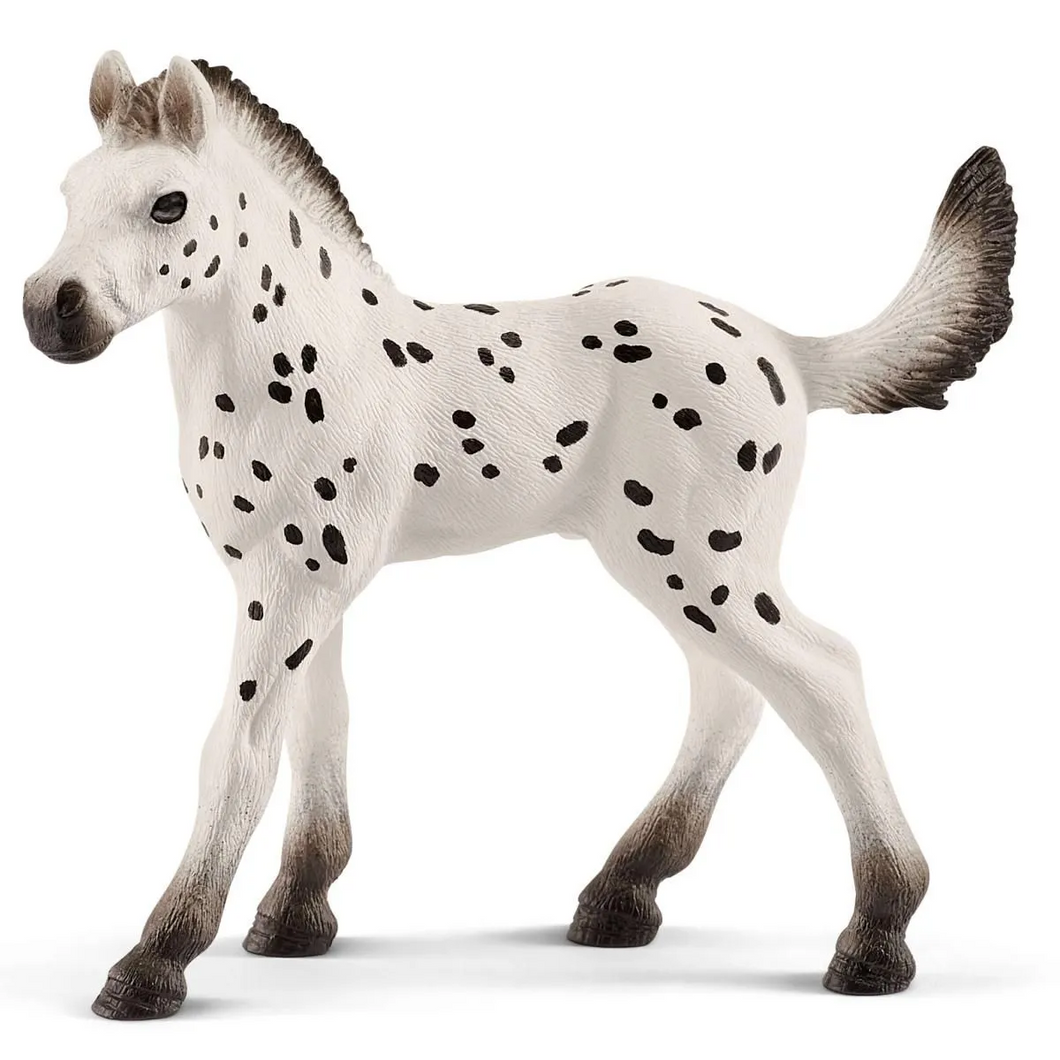 Knapstrupper - Foal