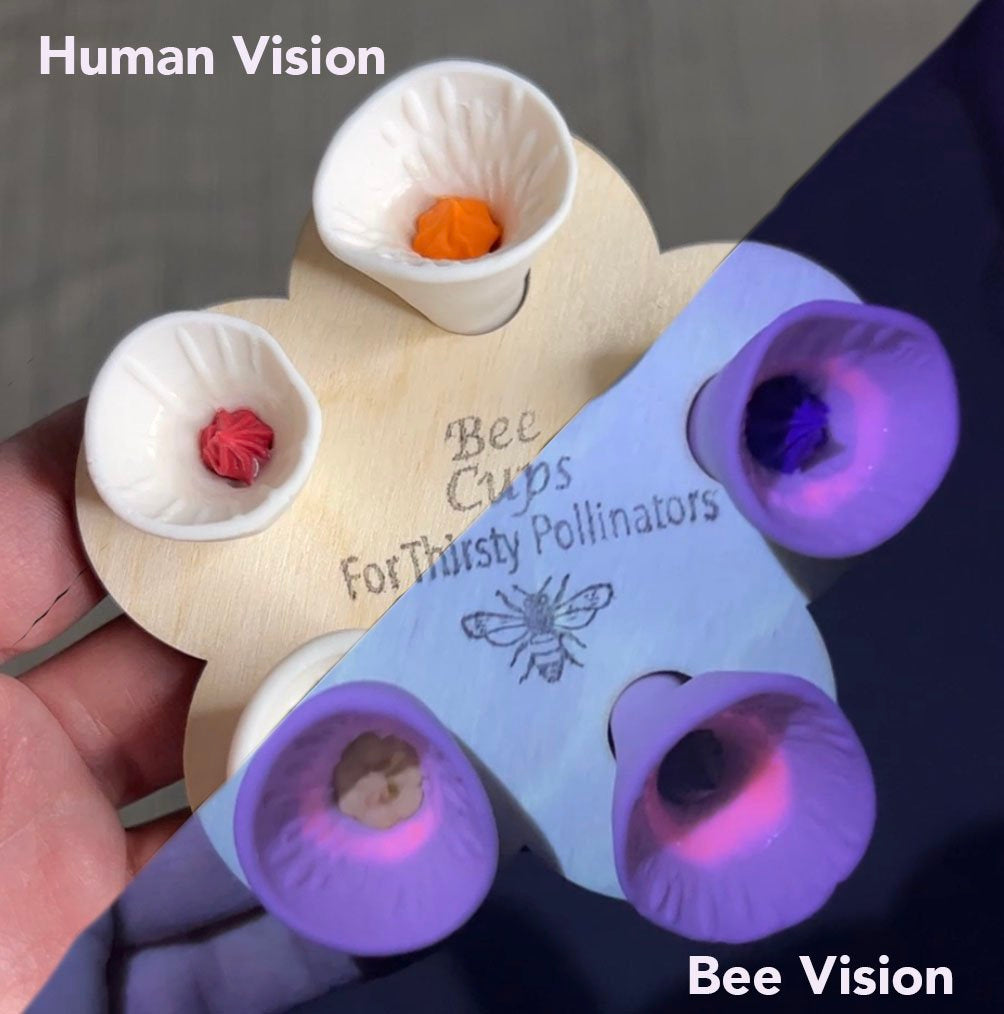 Bee Vision Bee Cups