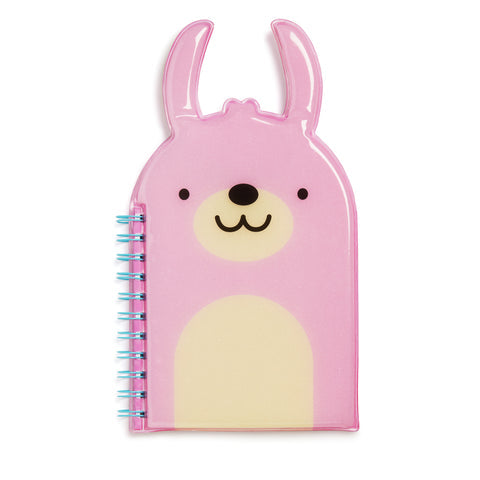 Llama Notebook